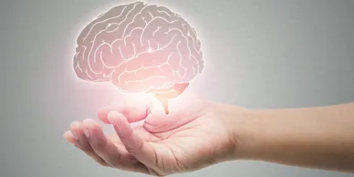 A person holding their hand out with a glowing brain in the middle.