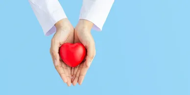 A person holding a heart in their hands.